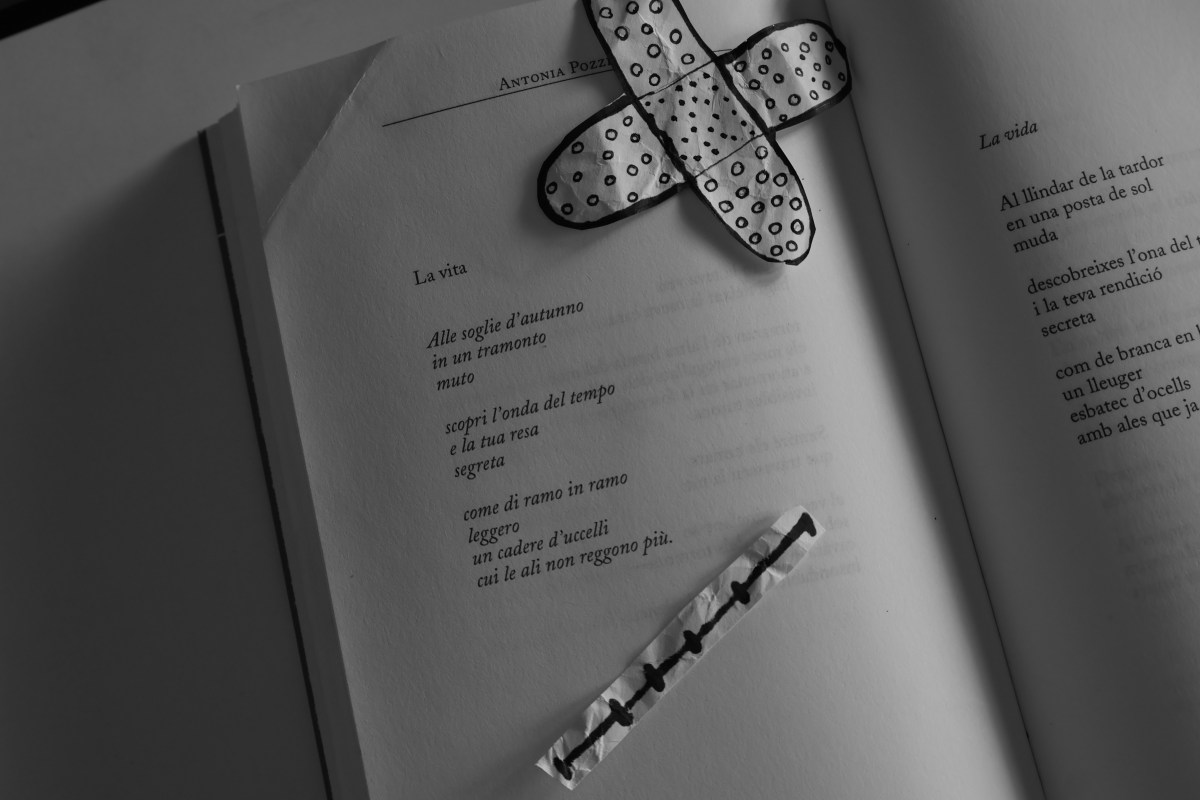 La ferida dins&nbsp;l’obra